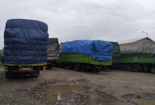 IMG-20250314-WA0307