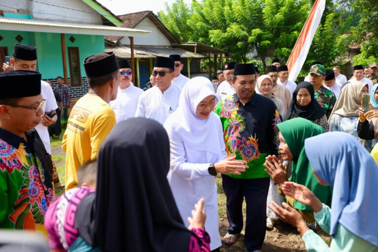 IMG-20250318-WA0271