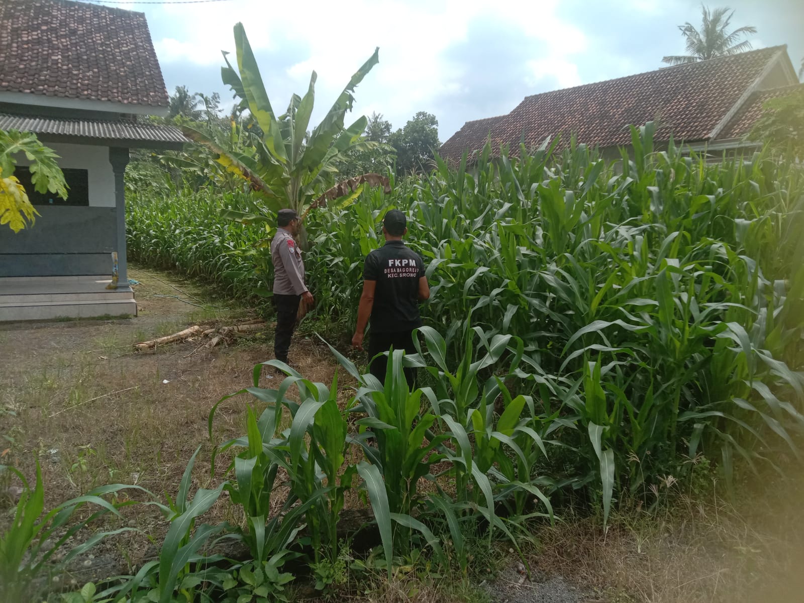 IMG-20250319-WA0099