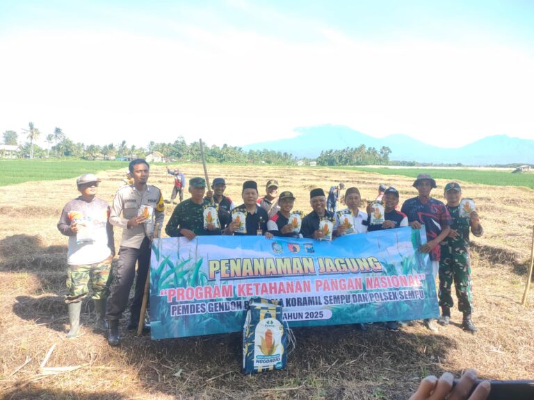 IMG-20250320-WA0133