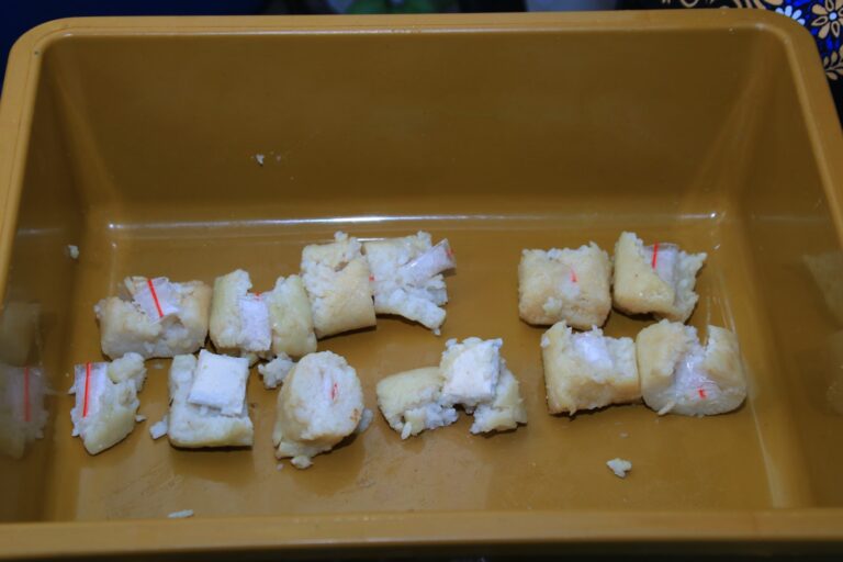IMG-20250520-WA0263