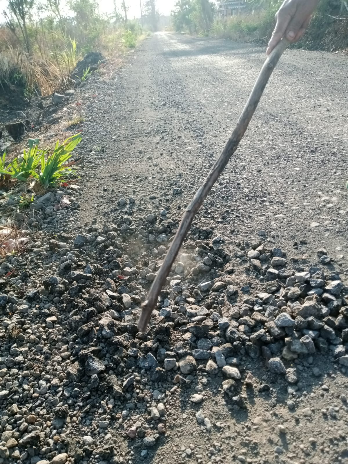 IMG-20251025-WA0118