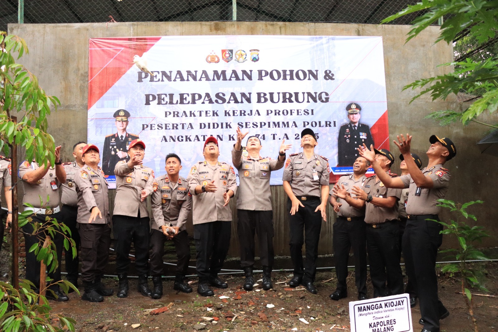 IMG-20251112-WA0054