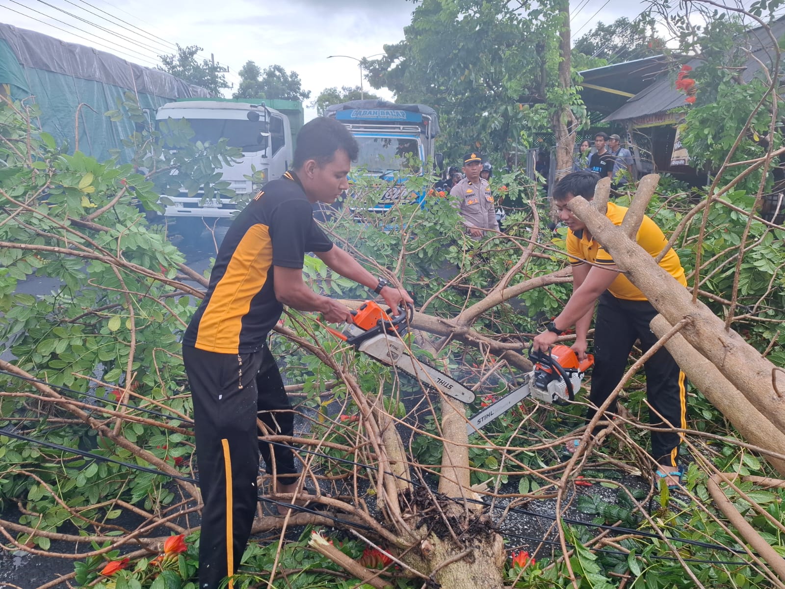 IMG-20251114-WA0160